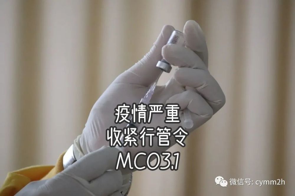  拜仁主场球迷人数创新高纪录  